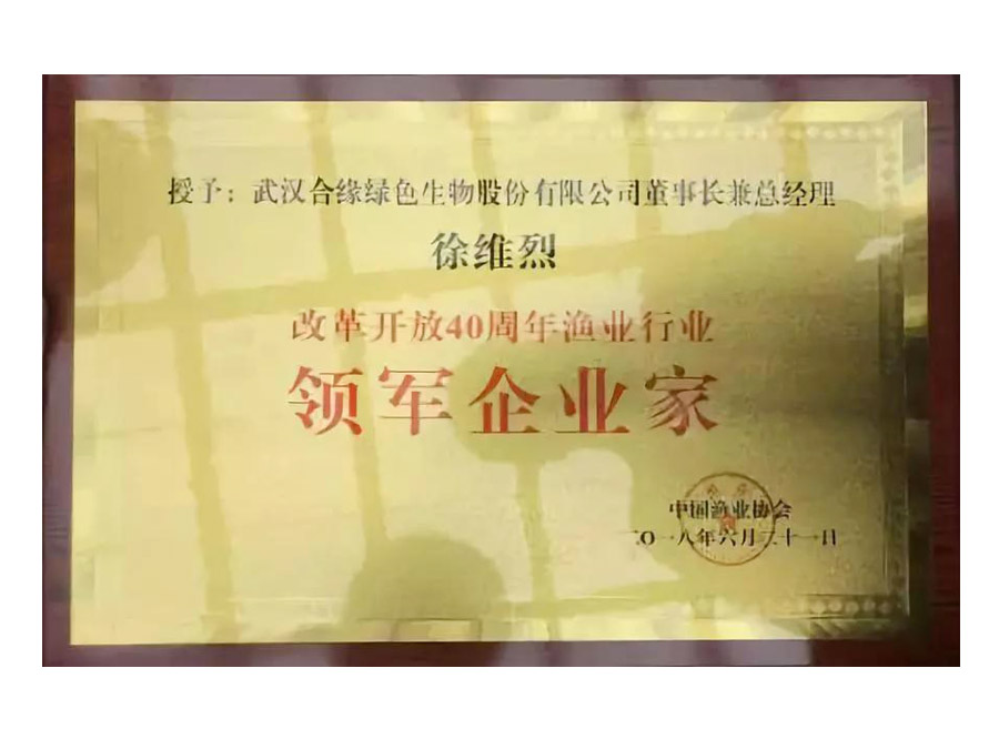 領(lǐng)軍企業(yè)家